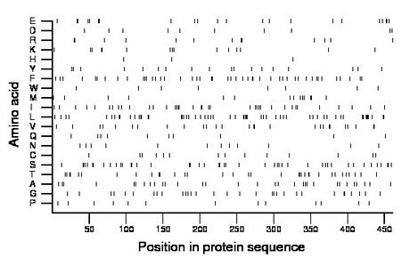 amino acid map