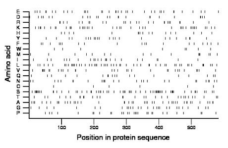 amino acid map