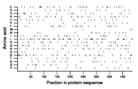 amino acid map