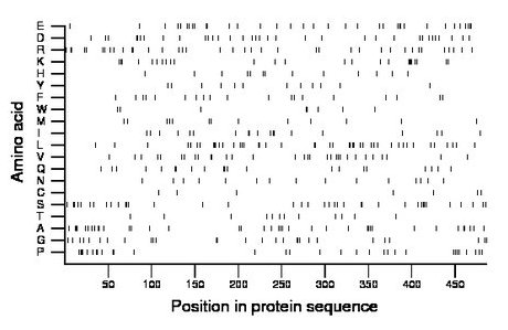 amino acid map