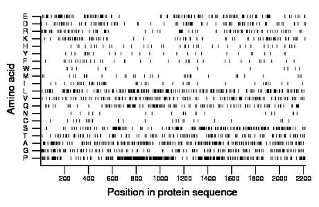 amino acid map