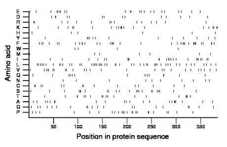 amino acid map