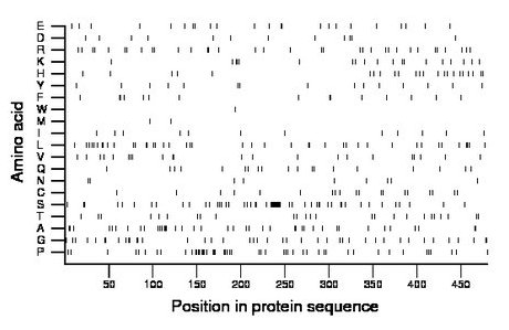 amino acid map