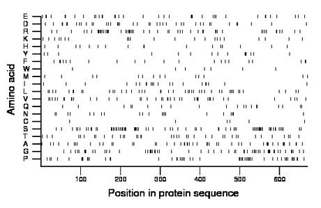 amino acid map