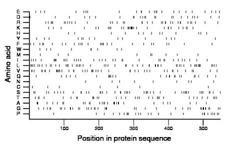 amino acid map