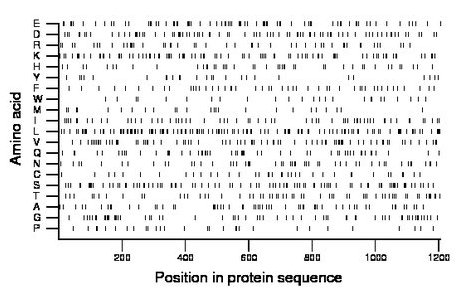 amino acid map