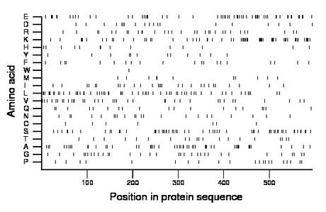 amino acid map