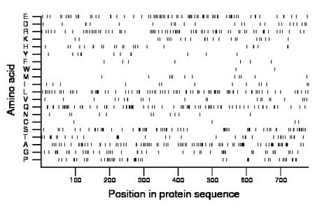 amino acid map