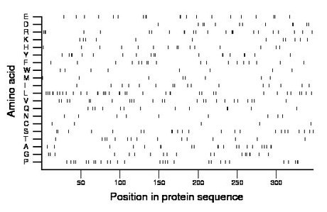 amino acid map