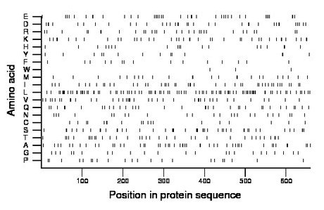 amino acid map