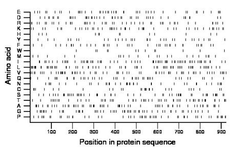 amino acid map