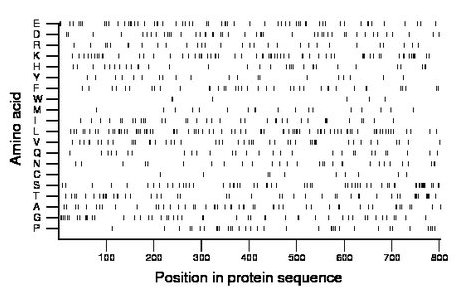 amino acid map