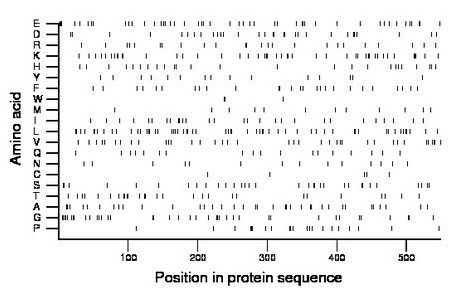 amino acid map