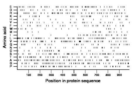 amino acid map