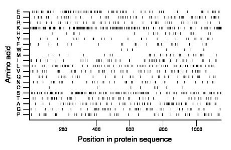 amino acid map