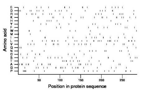 amino acid map