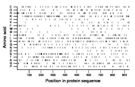 amino acid map