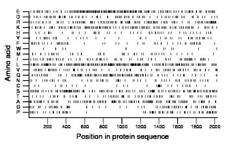 amino acid map