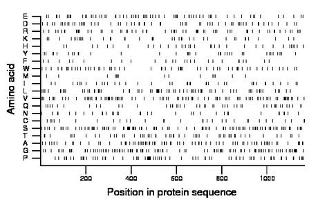 amino acid map