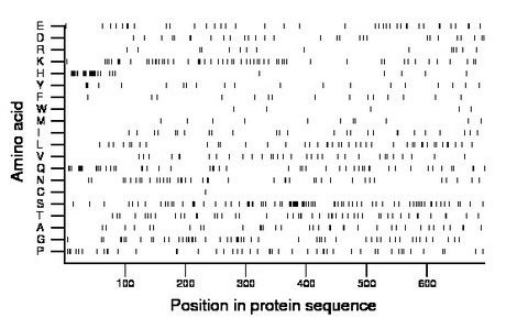 amino acid map