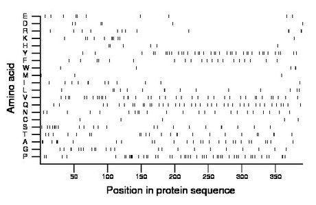 amino acid map