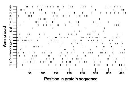 amino acid map