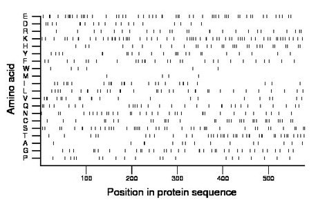 amino acid map