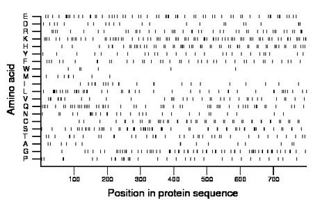 amino acid map