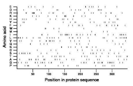 amino acid map