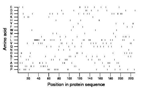 amino acid map