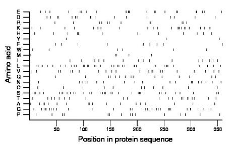 amino acid map