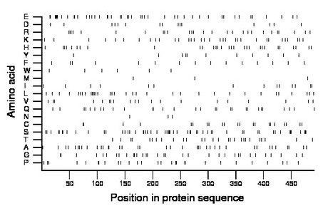 amino acid map