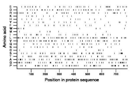 amino acid map