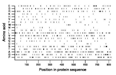 amino acid map