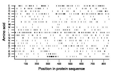 amino acid map