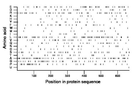 amino acid map