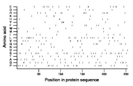 amino acid map