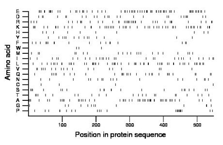 amino acid map