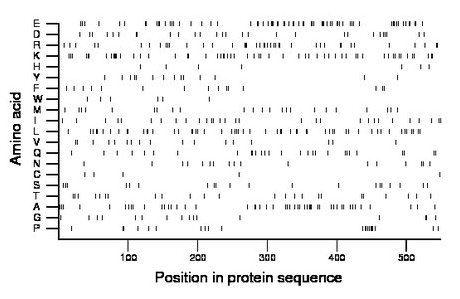 amino acid map