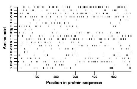 amino acid map