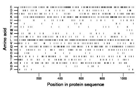 amino acid map