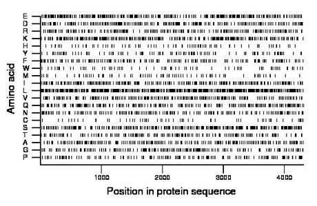 amino acid map