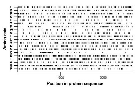 amino acid map