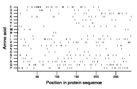 amino acid map