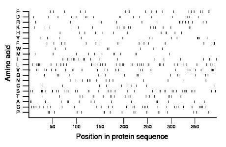 amino acid map