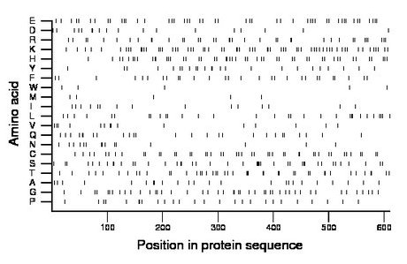 amino acid map