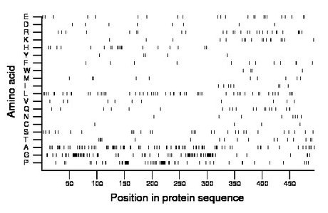 amino acid map