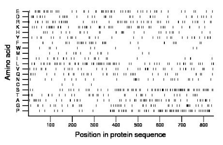 amino acid map