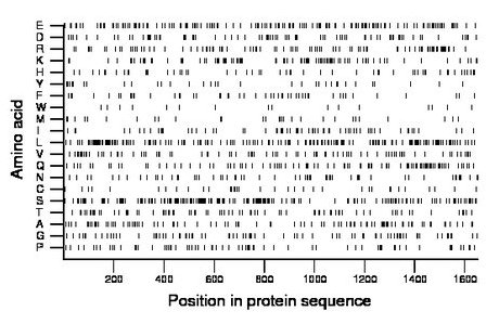 amino acid map