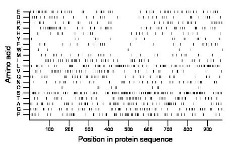 amino acid map